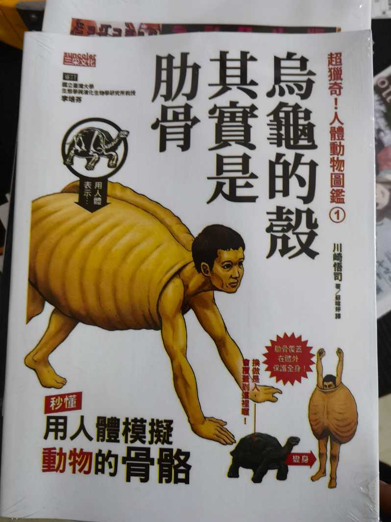 乌龟的壳其实是肋骨01.jpg
